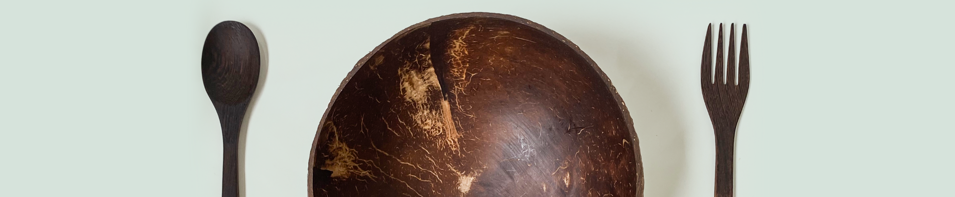 Jumbo Coconut Bowl