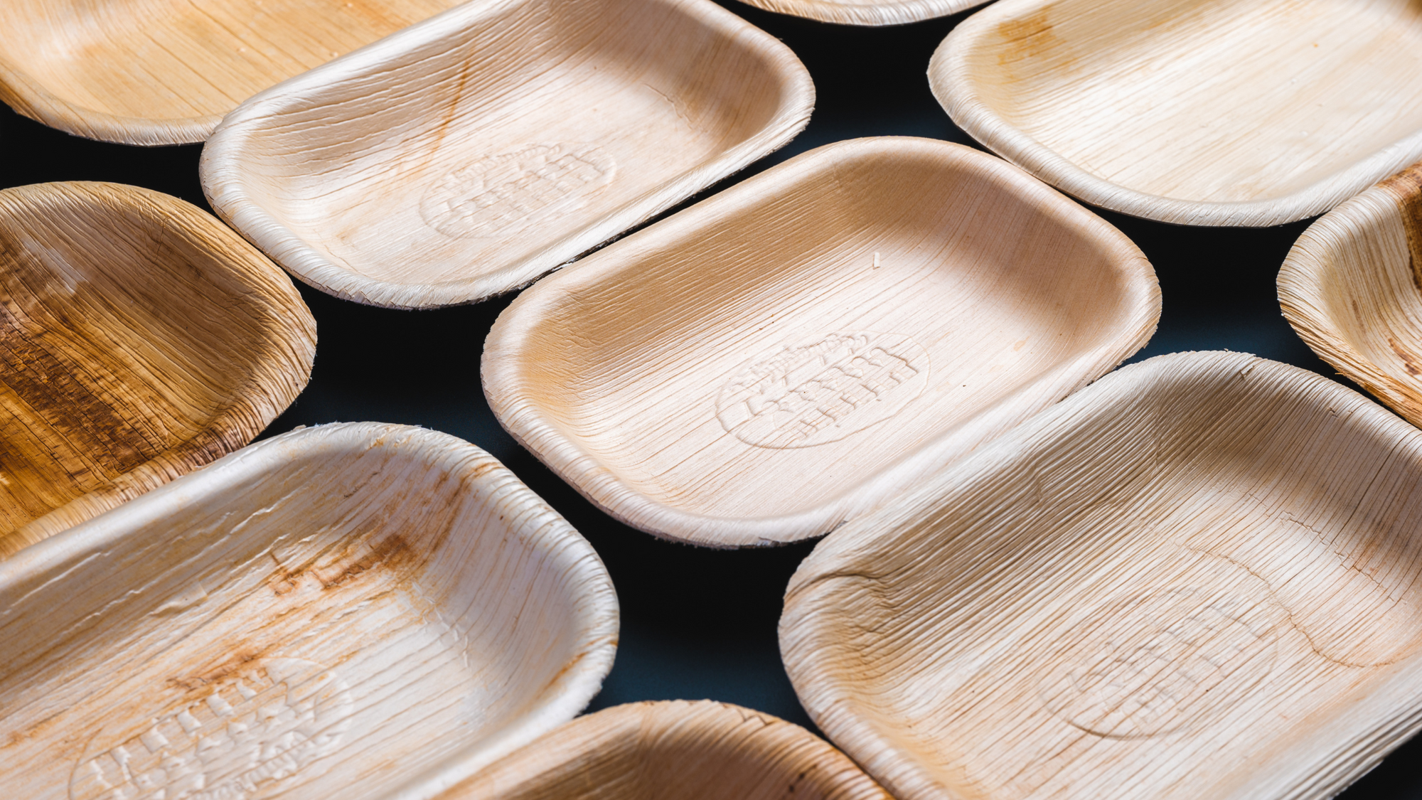 Eco-Friendly Disposable Bowls: A Step Towards Sustainable Living