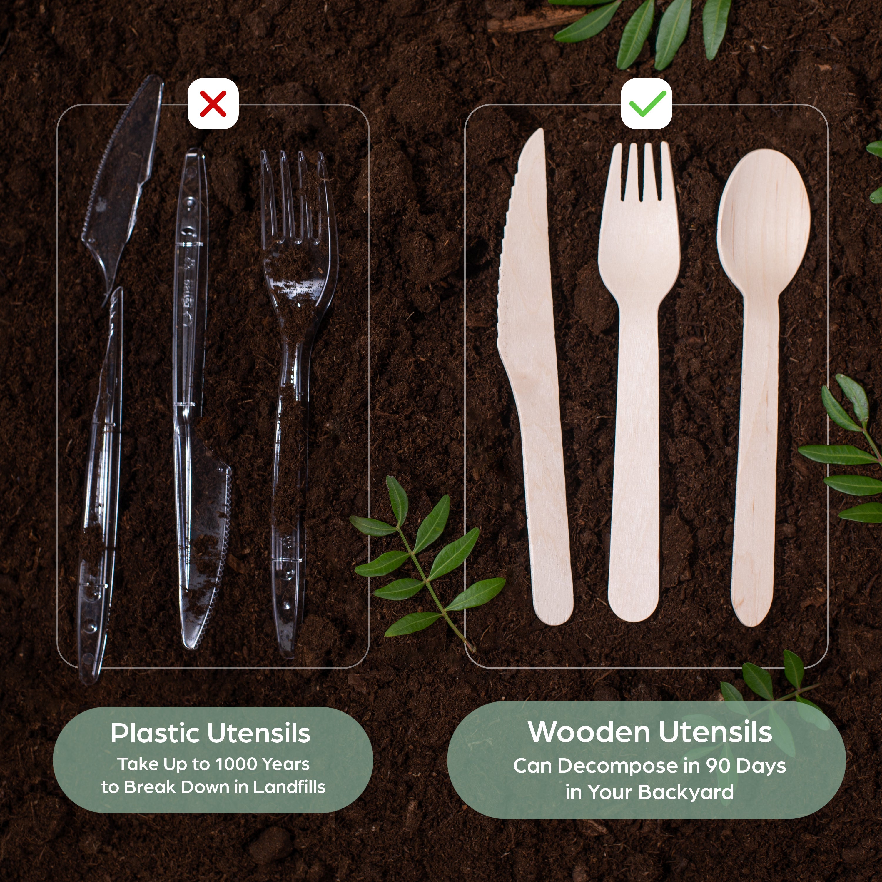 Plastic Utensils vs. Wooden Utensils