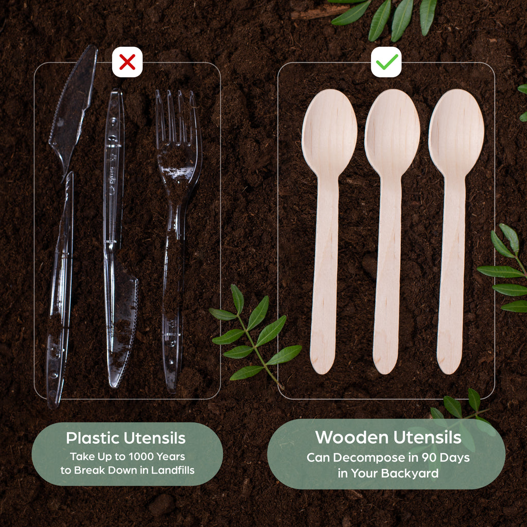 Plastic utensils vs. Wooden utensils